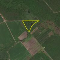 Small Hunting Tract In Eastern North Carolina images 3