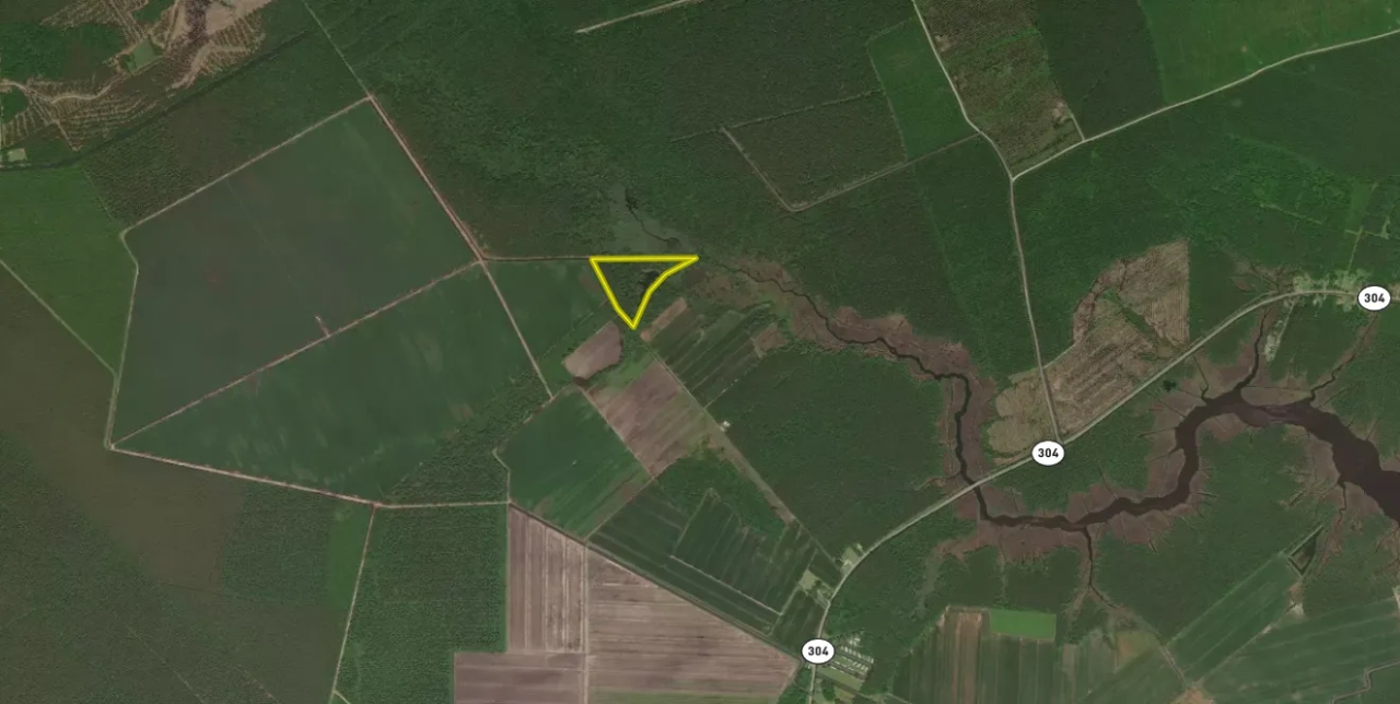 Small Hunting Tract In Eastern North Carolina Hunting Land for Sale