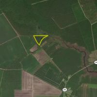 Small Hunting Tract In Eastern North Carolina images 4