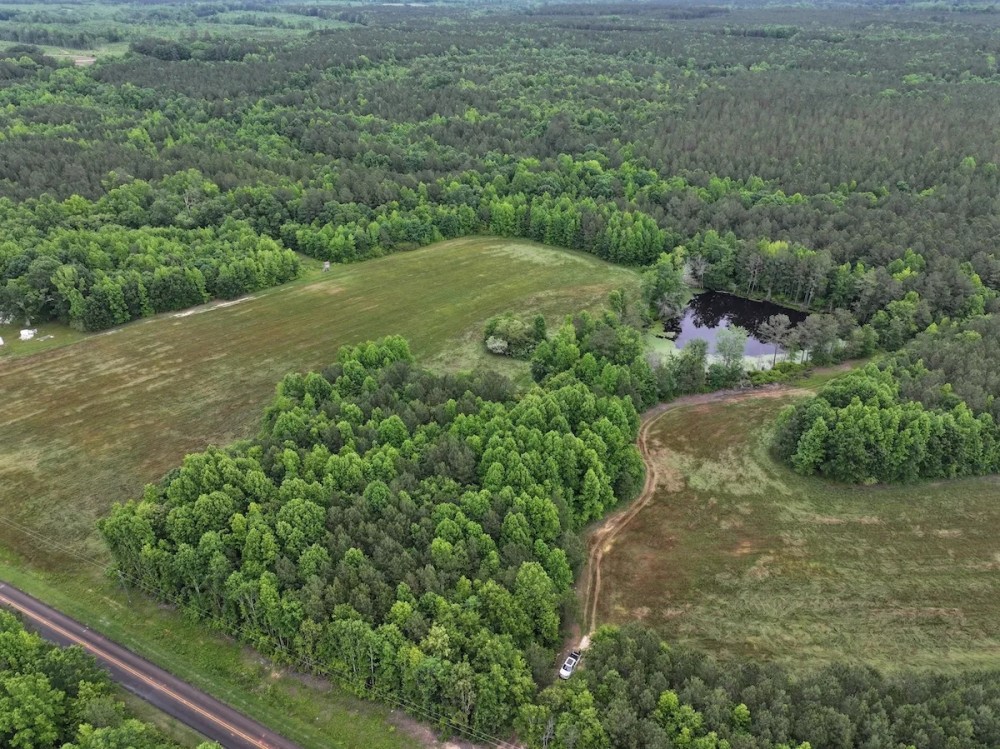 Serene Mini Farm Located On A Dead End Road featured image