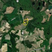 Versatile Agricultural And Timberland Lot 3 images 4