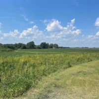 Red Oak Road Tillable Farm With Development Potential Lot 1 images 5