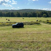 130 acre Former Beef Cattle Ranch with Fields and Pastures on the Tioughnioga River in Whitney Point NY 7800 NY-79 images 3
