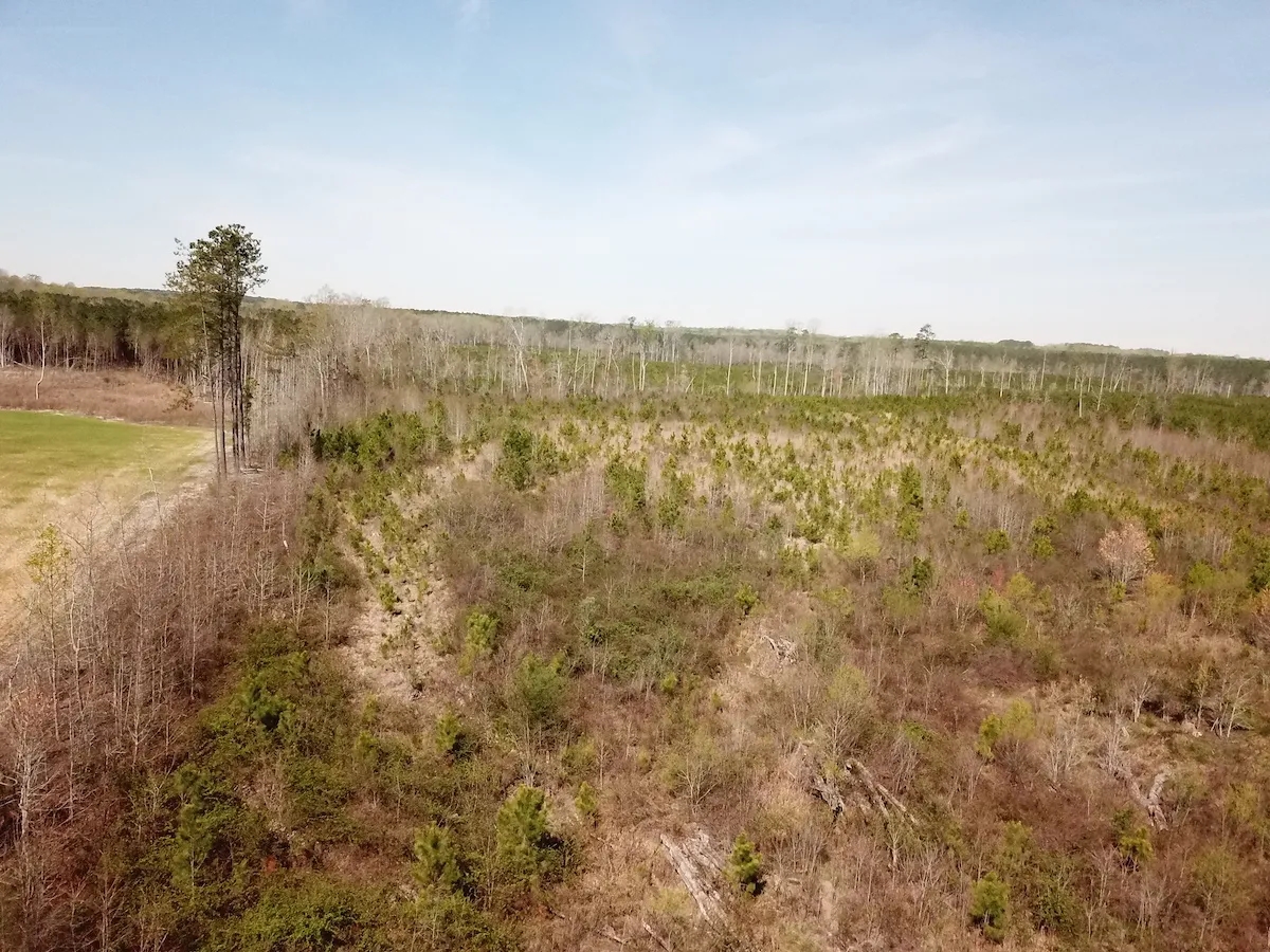 Great Acreage Outside Spring Hope Hunting Land for Sale