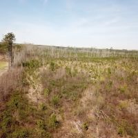 Great Acreage Outside Spring Hope images 5