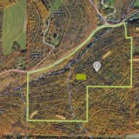 Hunting and Recreational Property with House on 95 acres in Candor NY 155 Catatonk Hill Rd images 2