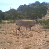 JDJ Ranch images 2