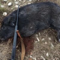 JDJ Ranch images 4