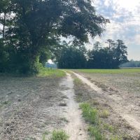 Versatile Agricultural And Timberland images 3
