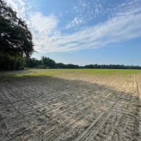 Versatile Agricultural And Timberland images 4