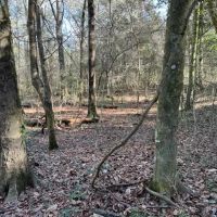28 - Recreation Residential Land in Houston County images 2