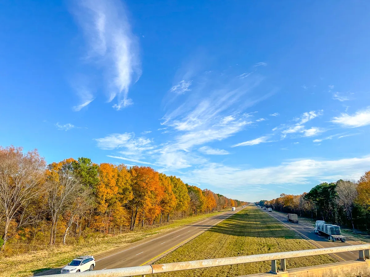 181 Acres Maya 1004 Tract 13 Hunting Land for Sale HuntingLocator