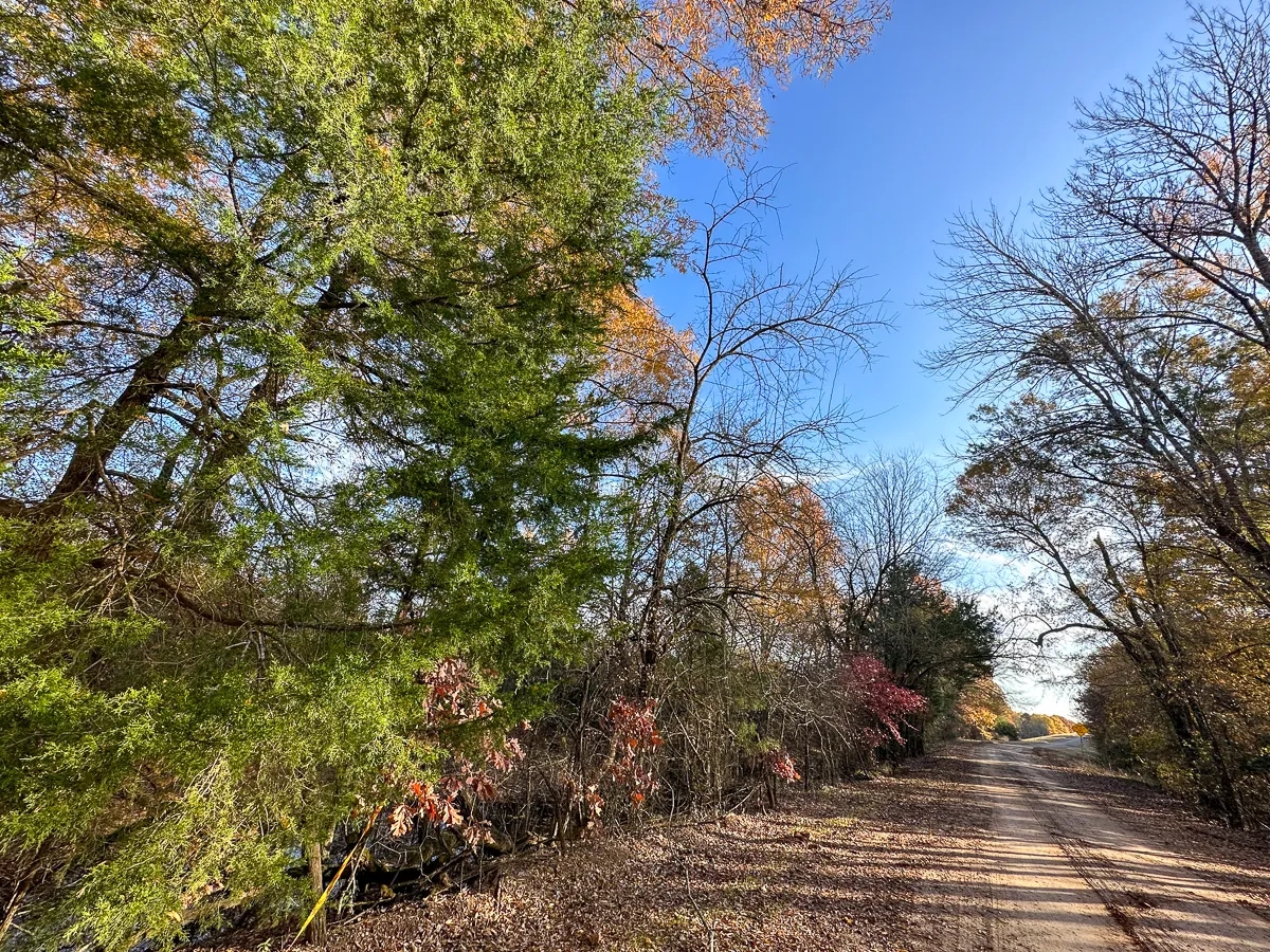 181 Acres Maya 1004 Tract 13 Hunting Land for Sale HuntingLocator