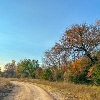 699 Acres CR 4640 Tract 1002