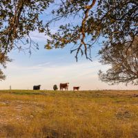 3485B County Road 530 Evant Texas 76525 images 5
