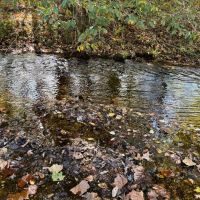 Grounds Creek 138 images 4