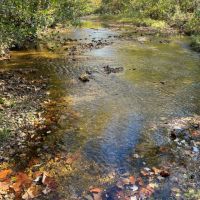 Grounds Creek 138 images 5