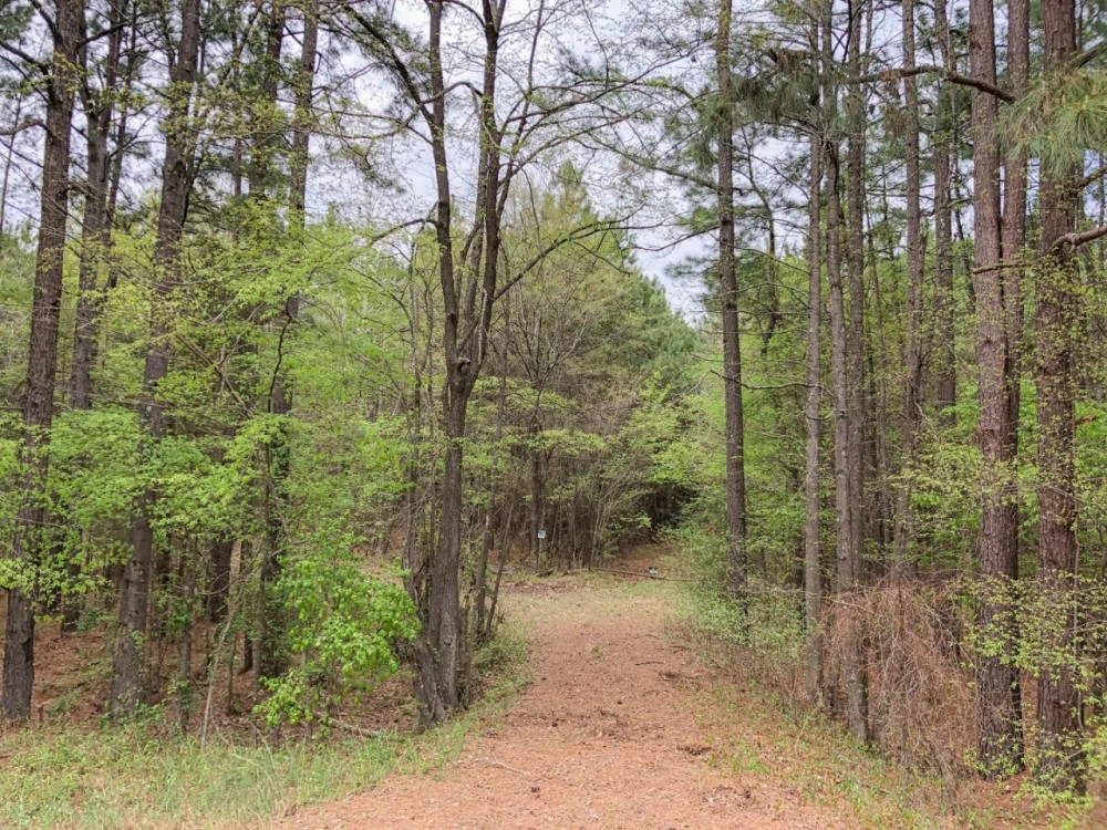 463 Acres Hwy 67 Maya 1003 featured image
