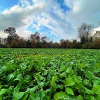 Bull Mountain Bottoms Farm images 2