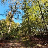 Bull Mountain Bottoms Farm images 3