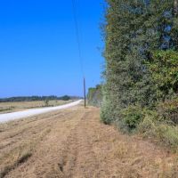 63.19 - Acres Round Prairie Road images 2