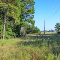 63.19 - Acres Round Prairie Road images 4