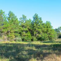 63.19 - Acres Round Prairie Road images 5