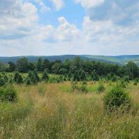 446 acre Farm with House Barns Stocked Pond and Woodlands in Endicott NY 217 Sherder Rd