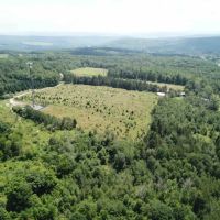 446 acre Farm with House Barns Stocked Pond and Woodlands in Endicott NY 217 Sherder Rd images 2