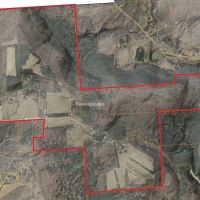 446 acre Farm with House Barns Stocked Pond and Woodlands in Endicott NY 217 Sherder Rd images 3