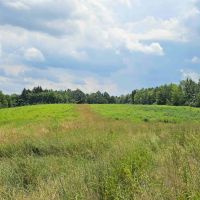 446 acre Farm with House Barns Stocked Pond and Woodlands in Endicott NY 217 Sherder Rd images 4