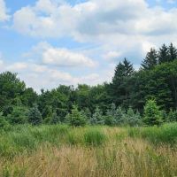 446 acre Farm with House Barns Stocked Pond and Woodlands in Endicott NY 217 Sherder Rd images 5