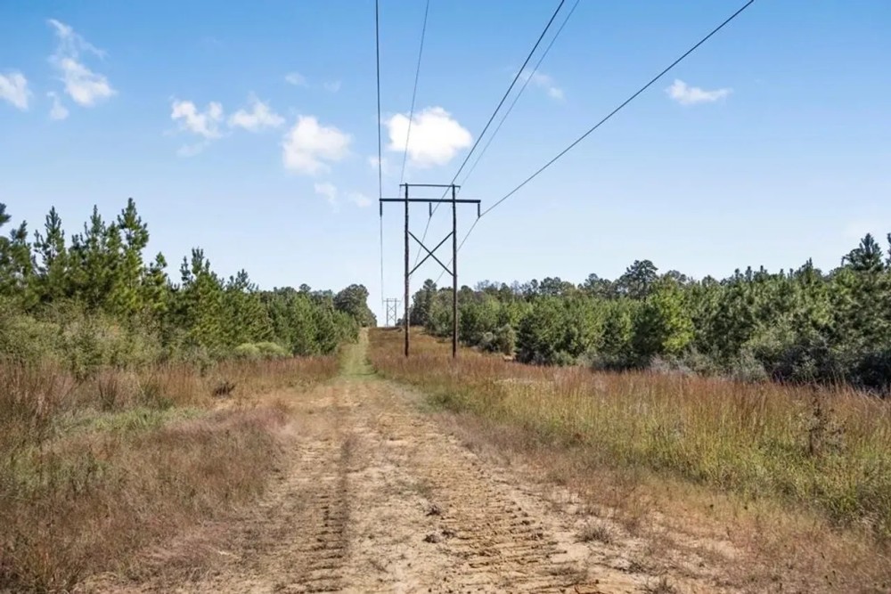 Affordable Hunting Property Adjoining National Forest featured image
