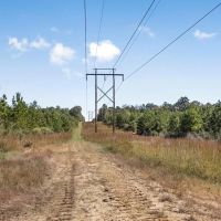 Affordable Hunting Property Adjoining National Forest