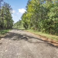 Affordable Hunting Property Adjoining National Forest images 2