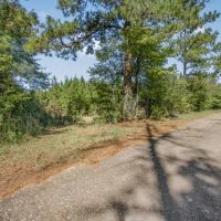 Affordable Hunting Property Adjoining National Forest images 4