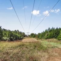 Affordable Hunting Property Adjoining National Forest images 5