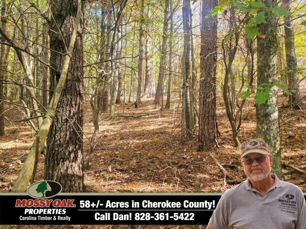 58.61 -AC Unrestricted Paved Road RV Tiny Home Cabin OK featured image