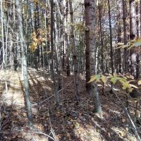 58.61 -AC Unrestricted Paved Road RV Tiny Home Cabin OK images 3