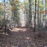 58.61 -AC Unrestricted Paved Road RV Tiny Home Cabin OK images 4