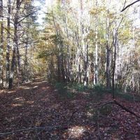 58.61 -AC Unrestricted Paved Road RV Tiny Home Cabin OK images 5