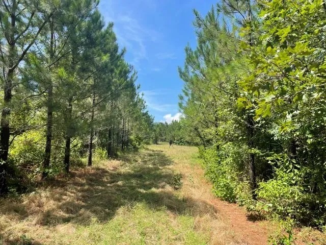 Smithville Tract featured image