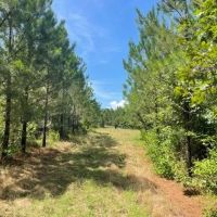 Smithville Tract