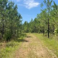 Smithville Tract images 2