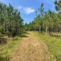 Smithville Tract images 3