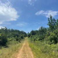 Smithville Tract images 4