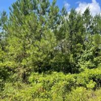 Smithville Tract images 5