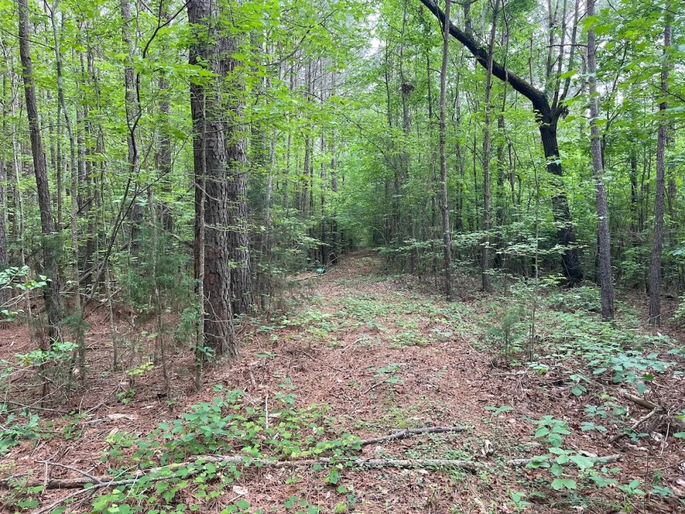 Recreational Tract Located In Littleton NC featured image
