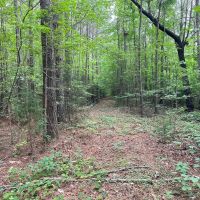 Recreational Tract Located In Littleton NC