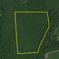 Recreational Tract Located In Littleton NC images 2